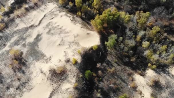 Let nad písečnými dunami s podzimními stromy — Stock video