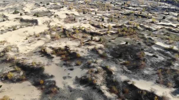 Vuelo sobre dunas de arena con árboles otoñales — Vídeos de Stock