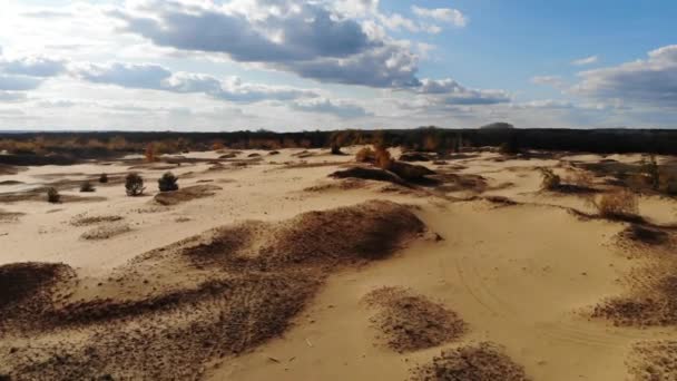 Vuelo sobre dunas de arena con árboles otoñales — Vídeo de stock