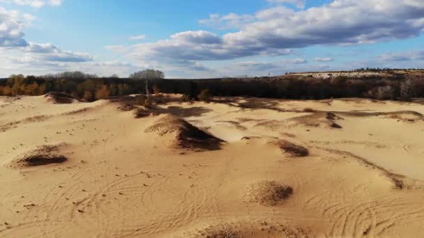 Полет над песчаными дюнами с осенними деревьями — стоковое видео