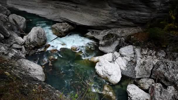 Paisagem de verão com rio de montanha — Vídeo de Stock