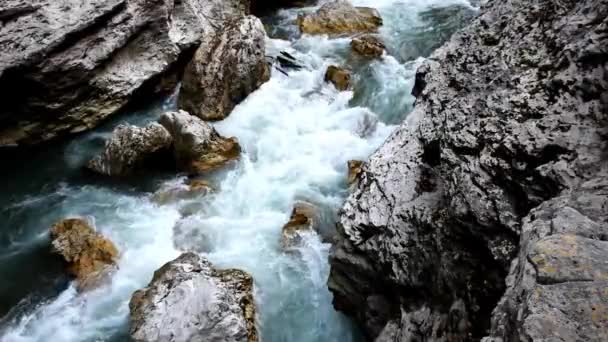 Paisagem de verão com rio de montanha — Vídeo de Stock