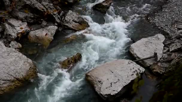 Paisagem de verão com rio de montanha — Vídeo de Stock