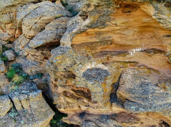Κενή φωλιά από μακρυπόδαρους Buzzard ή Buteo rufinus σε βράχο — Φωτογραφία Αρχείου