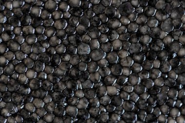 Siyah cerrah ya da beluga havyarının makro arka planı