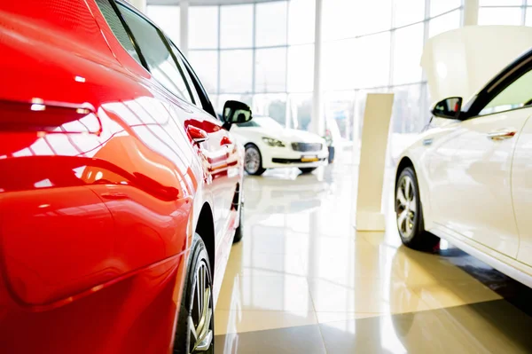 Carros novos no showroom do negociante de lpremuim — Fotografia de Stock