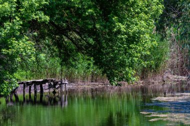 Küçük bir tekne için demirleme iskelesi. Yaz nehri