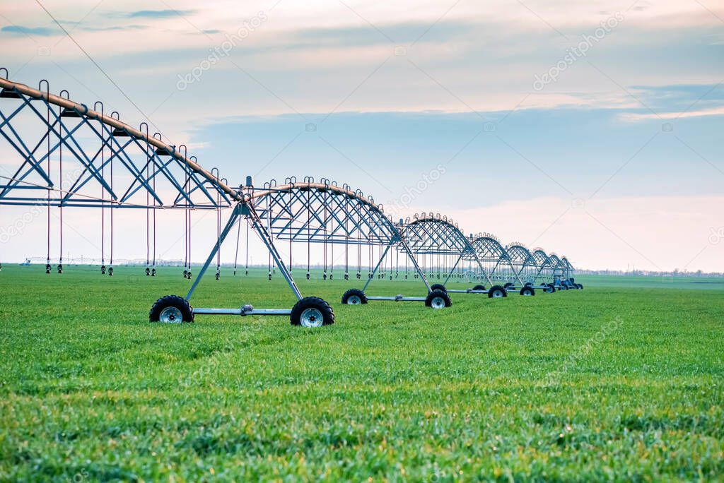 Drip irrigation system in field