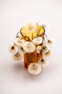 Karahindiba tohum ve gri arka plan ile küçük cam objeler ile kompozisyon