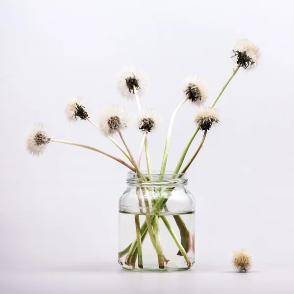 Composition with dandelion seeds and small glass objects with grey background — Stock Photo, Image