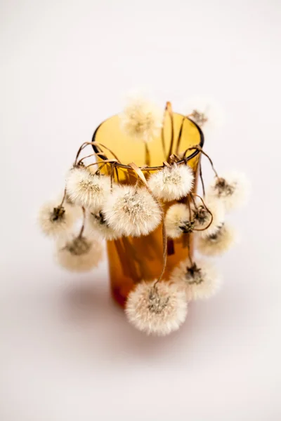 Composition with dandelion seeds and small glass objects with grey background — Stock Photo, Image