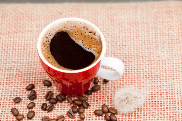 Красная чашка кофе с кофейными зернами и темным фоном — стоковое фото