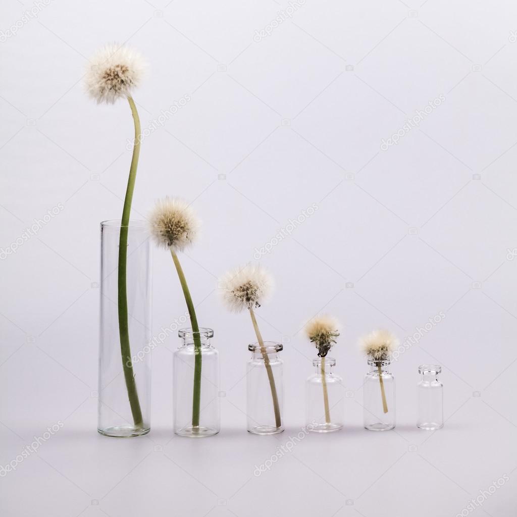 Composition with dandelion seeds and small glass objects with grey background