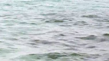 Ege Denizi ve Sahil kayalar Thassos Island, Yunanistan ile. Doğadan sesler 