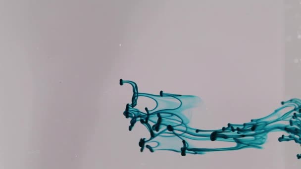 ガラス花瓶にインク図形 — ストック動画