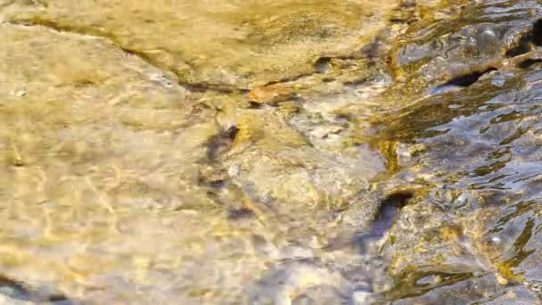 Egeïsche Zee Details Water Kust Met Rotsen Thassos Eiland Griekenland — Stockvideo