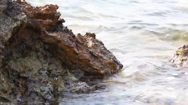 Aegean Sea Details Water Seashore Rocks Thassos Island Greece — Stock Video