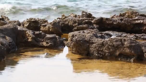 Aegean Sea Details Water Seashore Rocks Thassos Island Greece — Stock Video