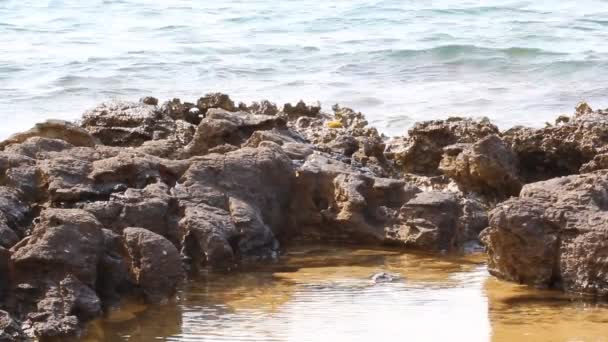 Egeïsche Zee Details Water Kust Met Rotsen Thassos Eiland Griekenland — Stockvideo