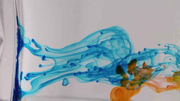 Formes Encre Dans Vase Verre — Video