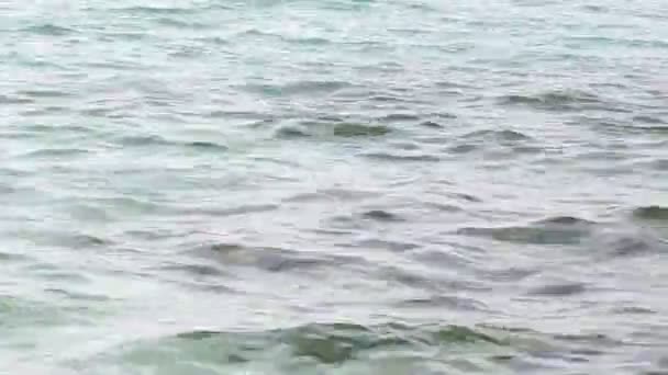 Егейське Море Узбережжя Скелі Острові Тасос Греція Звуки Природи — стокове відео