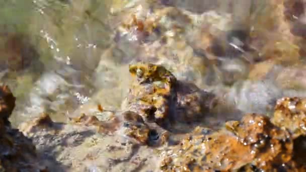 エーゲ海とギリシャ タソス島の岩海岸 大自然の音 — ストック動画