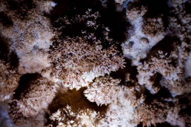 Olay yerinden inanılmaz Bulgar mağara Venetsa