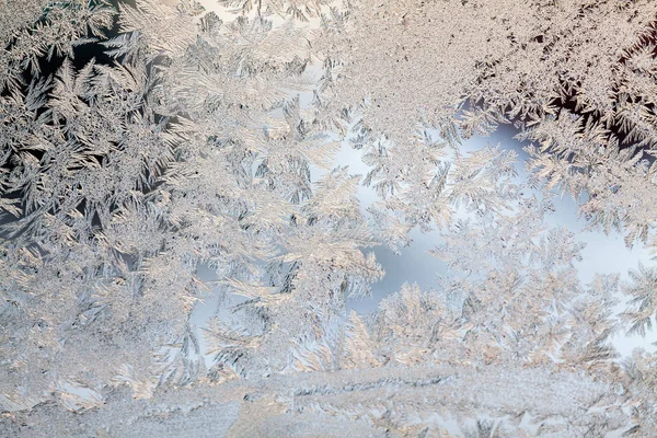 Flores Hielo Sobre Vidrio Textura Fondo — Foto de Stock