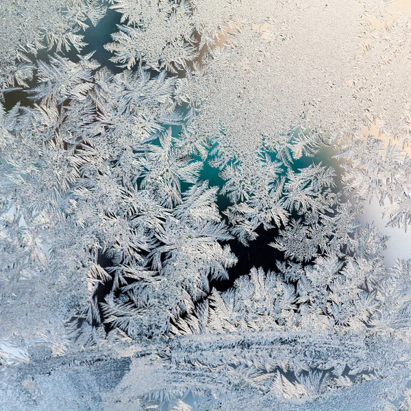 氷のテクスチャと背景 ガラスの花 — ストック写真