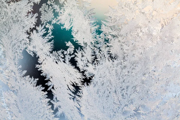 氷のテクスチャと背景 ガラスの花 — ストック写真