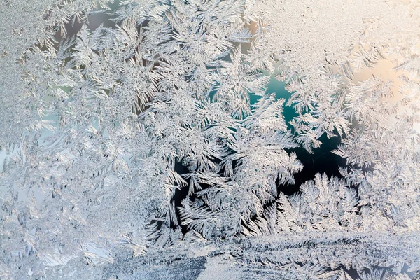 Flores Hielo Sobre Vidrio Textura Fondo — Foto de Stock