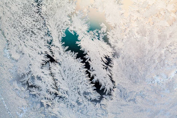 Flores Hielo Sobre Vidrio Textura Fondo — Foto de Stock