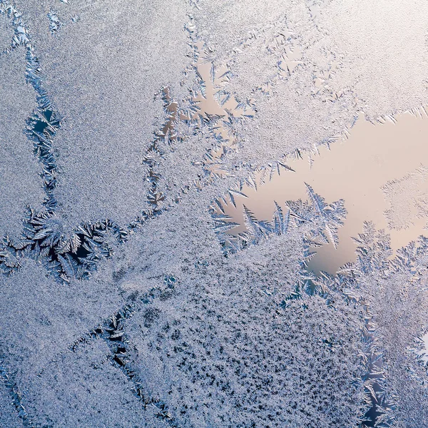 氷のテクスチャと背景 ガラスの花 — ストック写真
