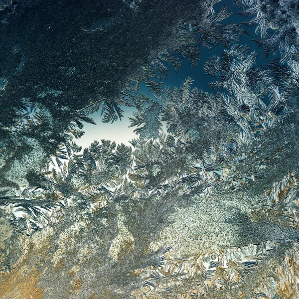 Cam - doku ve arka plan buz çiçekleri