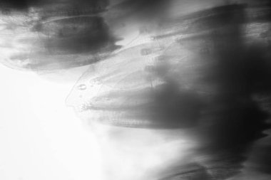 Güve kanat mikroskobik görünümü. Güzel ayrıntıları 