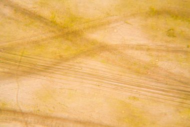 Mikroskop, çürümüş yaprak