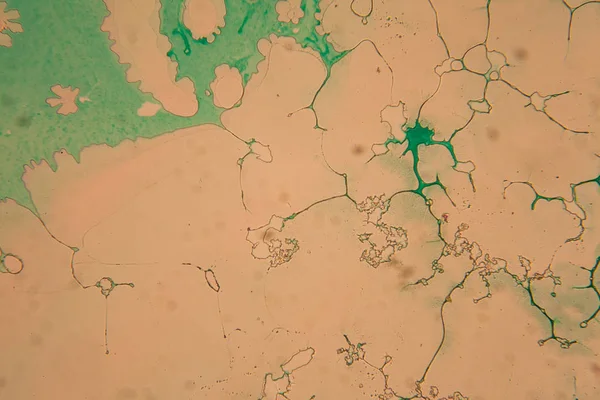 İnsan hücreleri ve mikroskop kurutulmuş renkli su