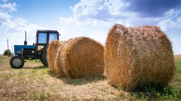 Traktörün arka planına yakın çekim. Çiftçi kış için saman topladı.