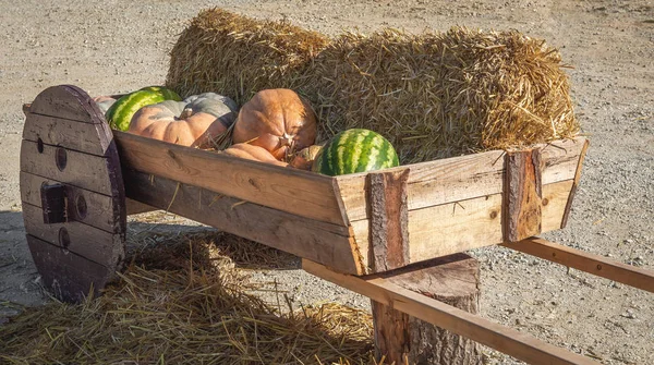 Old Wooden Cart Melon Watermelon Hay — Stock Photo, Image