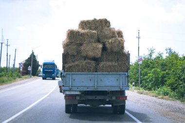 Küçük bir kamyon yol boyunca saman taşıyor..