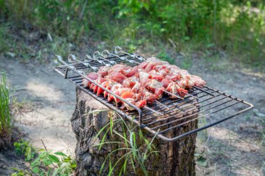 Çiğ et kebabı ve metal bir tel üzerinde parçalara ayrılmış. Kırmızı etin üst görüntüsü. 