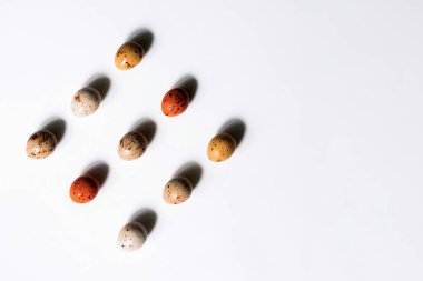 Beyaz arka planda bıldırcın yumurtası deseni.