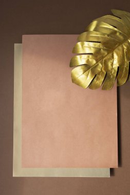 Kahverengi arka plan ve iki sayfa kağıt. Bir altın canavar yaprağı. Uzayı kopyala Metin ve tasarım için yer. Düz Düzen.