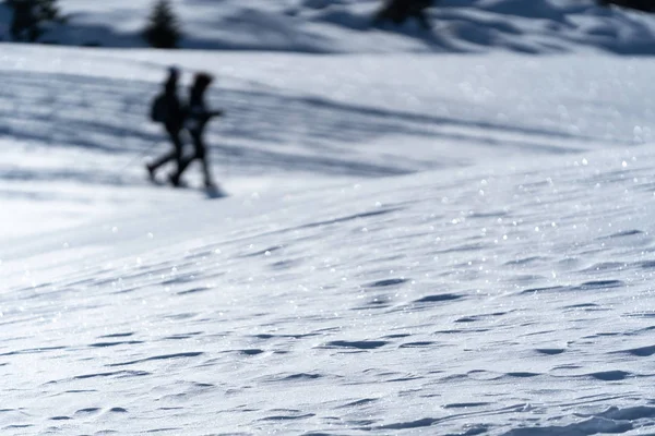 Les gens marchent sur la neige, raquettes, hiver, deux — Photo