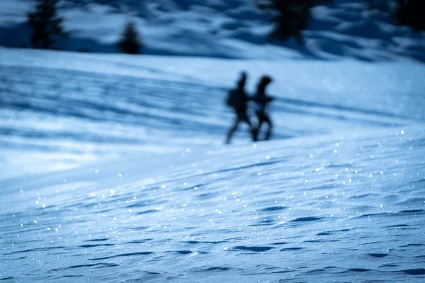 Les gens marchent sur la neige, raquettes, hiver, deux — Photo