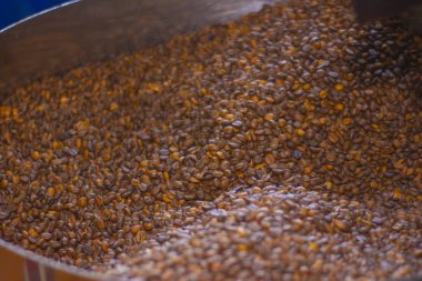 Kavurma makinesinde kavrulduktan hemen sonra kahve çekirdekleri.