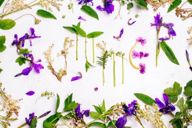 Çiçekler yaz yazıt 