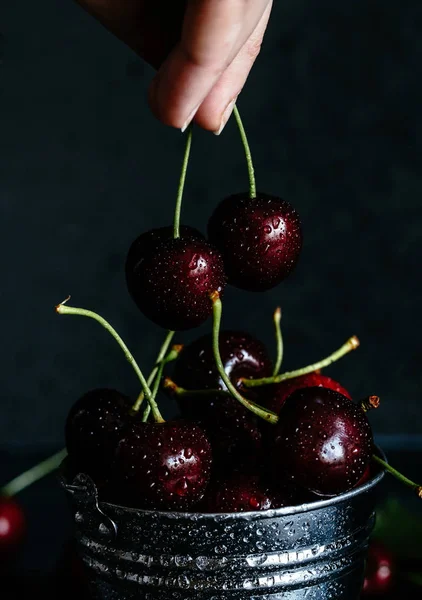 Cerejas doces em dedos femininos — Fotografia de Stock