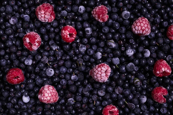 Miscela di bacche fresche e congelate — Foto Stock