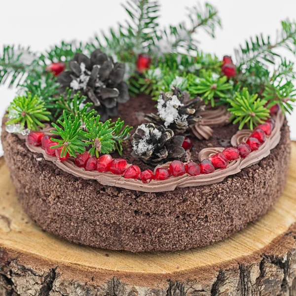 Çam dalları, çam kozalakları ile süslenmiş Noel çikolatalı kek — Stok fotoğraf